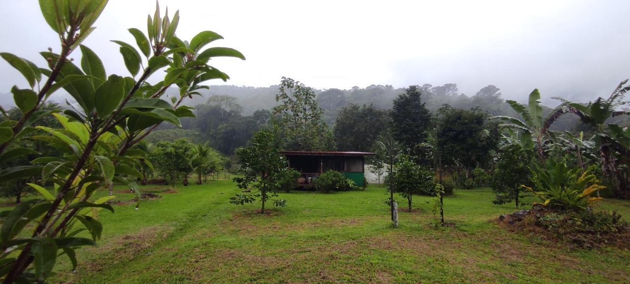 Eya Ecolodge San Isidro De El General Exterior photo