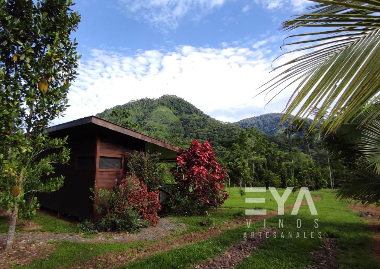 Eya Ecolodge San Isidro De El General Exterior photo